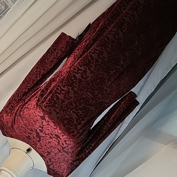 SLNY Dresses & Skirts - SLNY Deep Red Velvet Dress